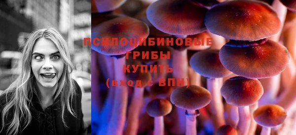 spice Корсаков