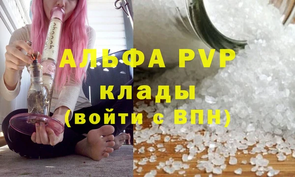 spice Корсаков