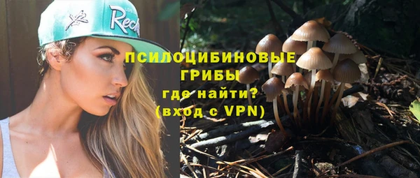 прущая мука Костерёво