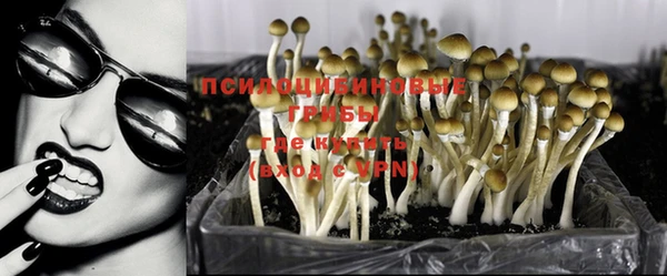 прущая мука Костерёво